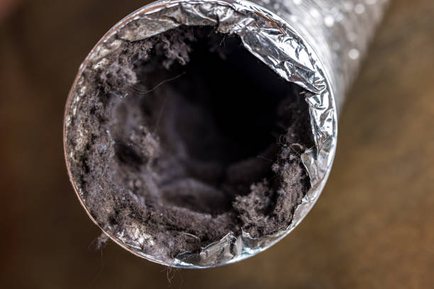 Best Dryer Vent Cleaning Services  in Boyes Hot Springs, CA